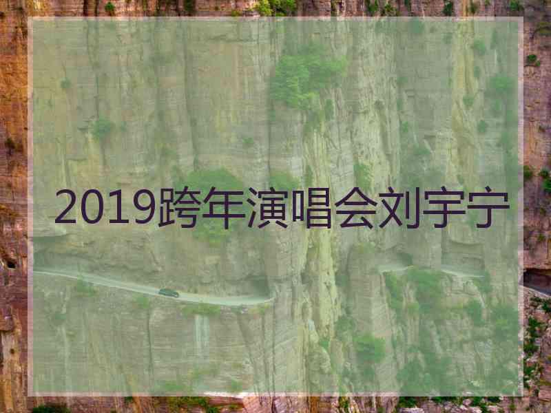 2019跨年演唱会刘宇宁