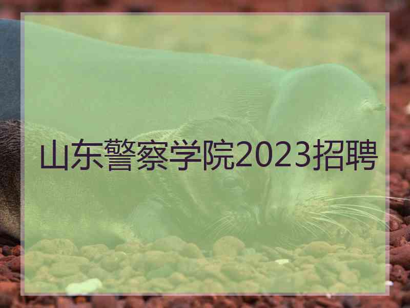 山东警察学院2023招聘