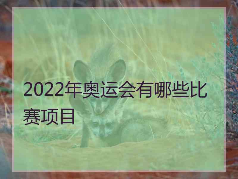 2022年奥运会有哪些比赛项目