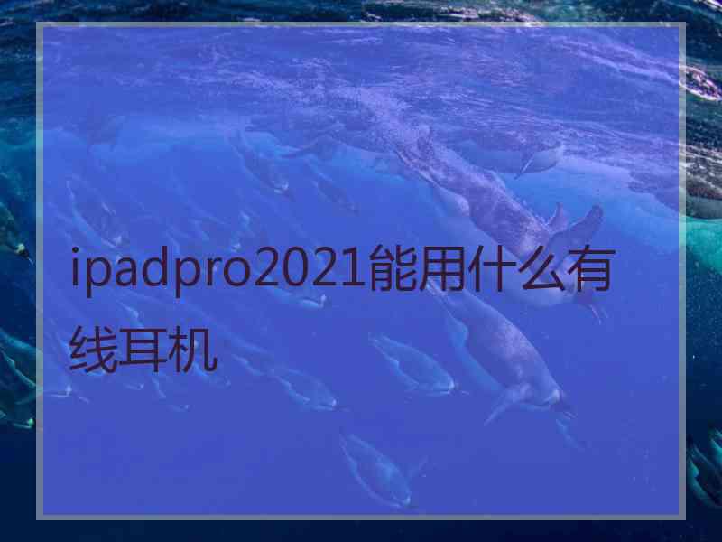 ipadpro2021能用什么有线耳机