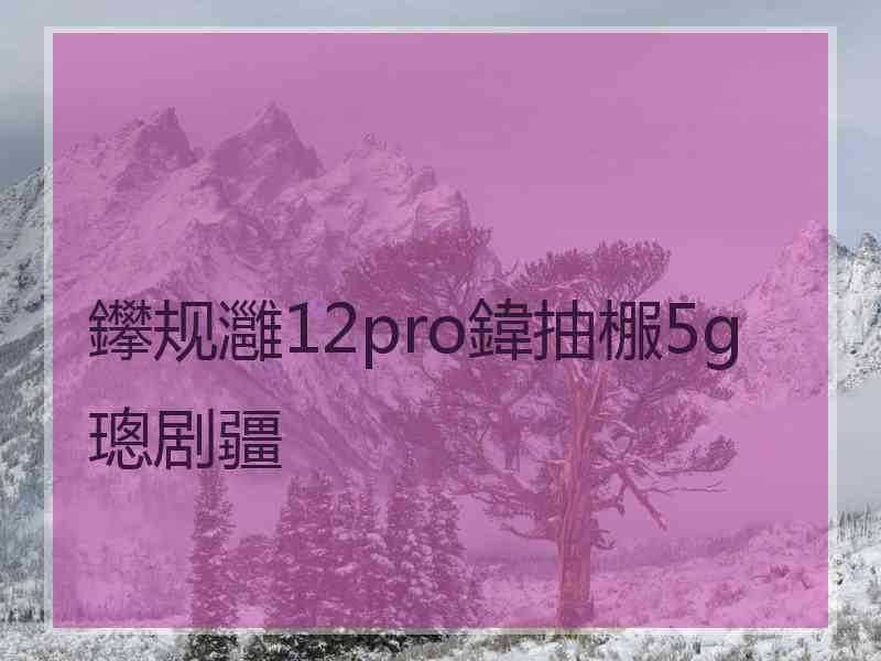 鑻规灉12pro鍏抽棴5g璁剧疆