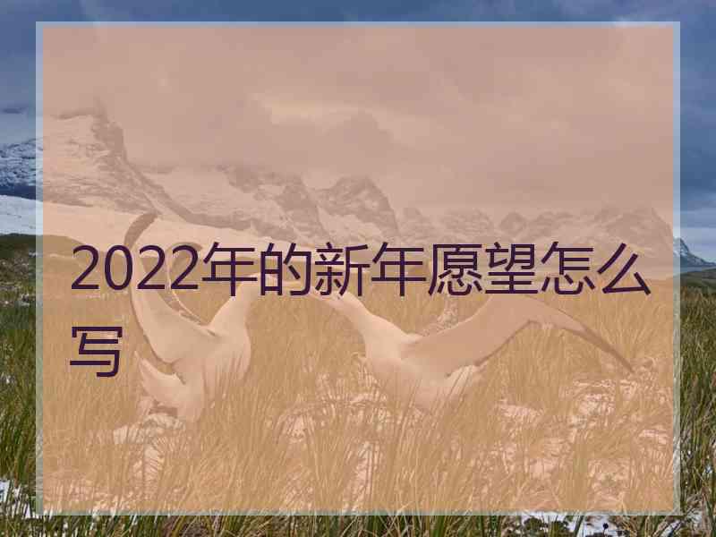 2022年的新年愿望怎么写