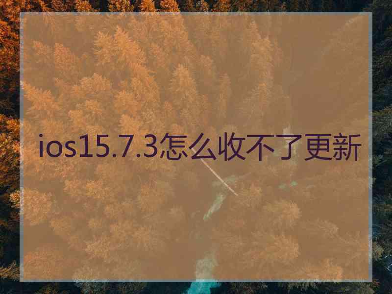 ios15.7.3怎么收不了更新