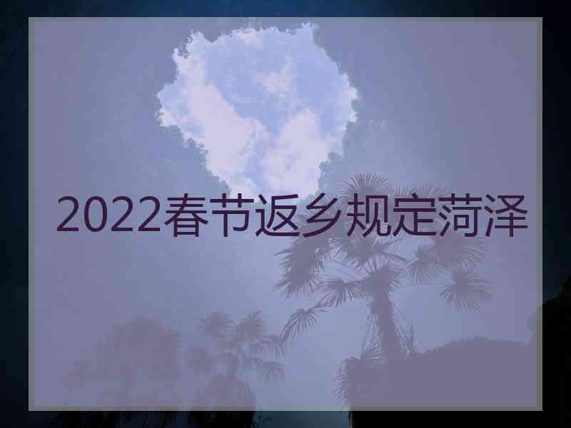 2022春节返乡规定菏泽