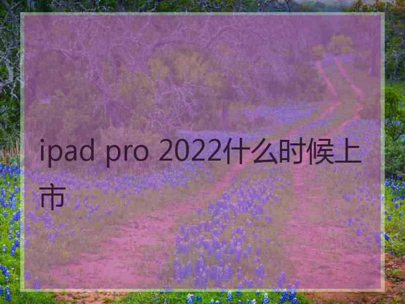 ipad pro 2022什么时候上市