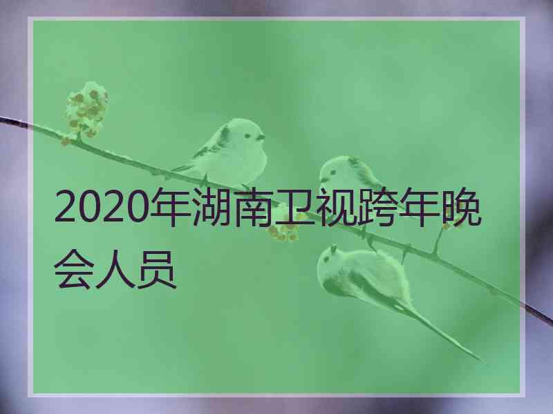 2020年湖南卫视跨年晚会人员