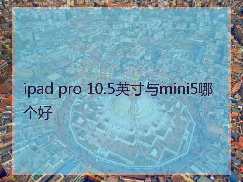 ipad pro 10.5英寸与mini5哪个好