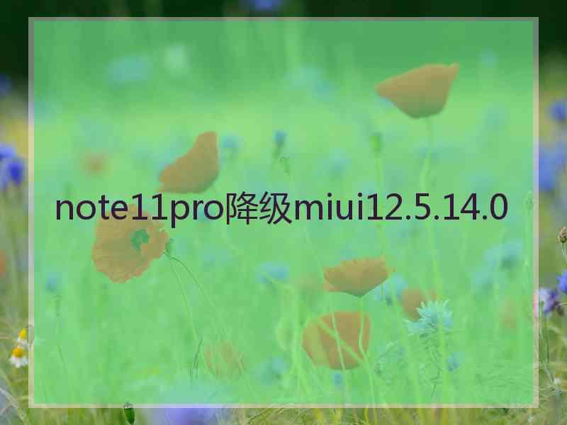 note11pro降级miui12.5.14.0