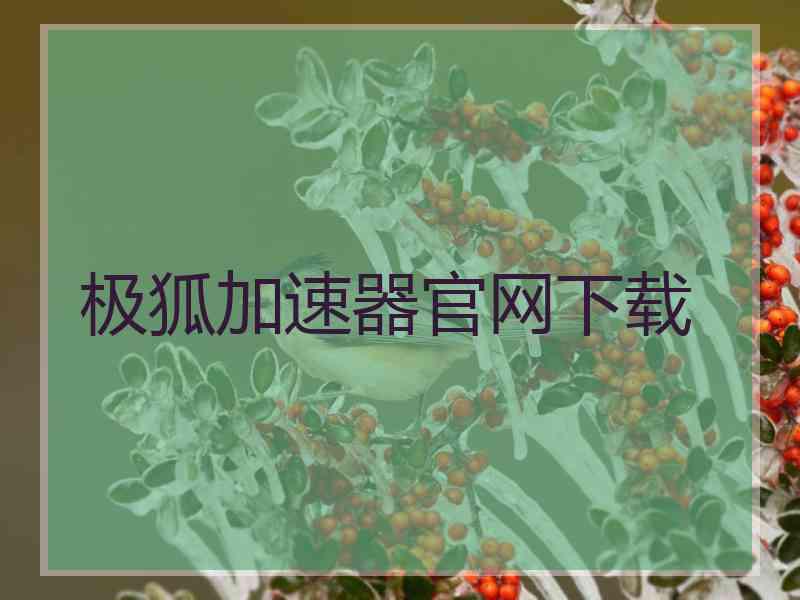 极狐加速器官网下载