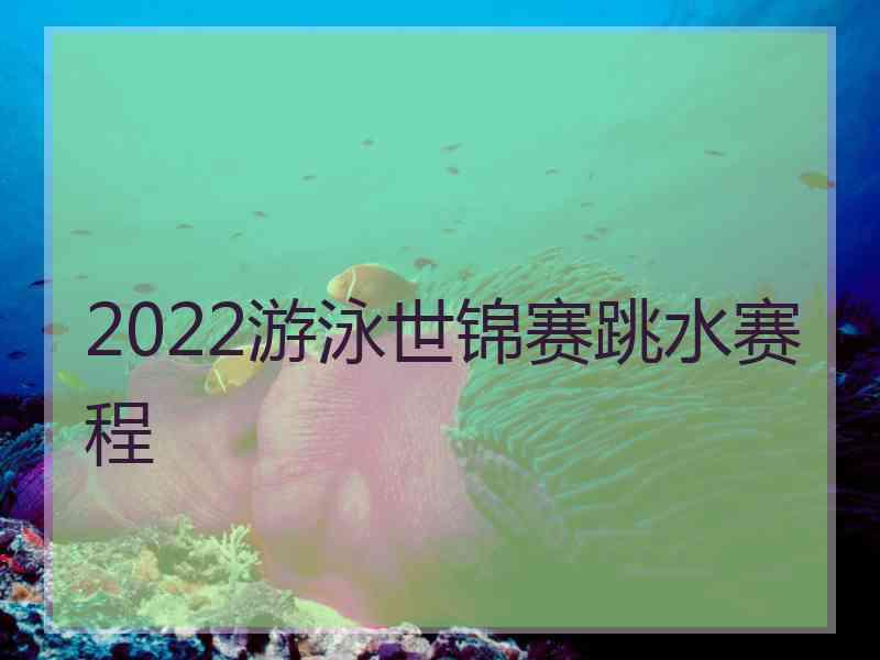 2022游泳世锦赛跳水赛程