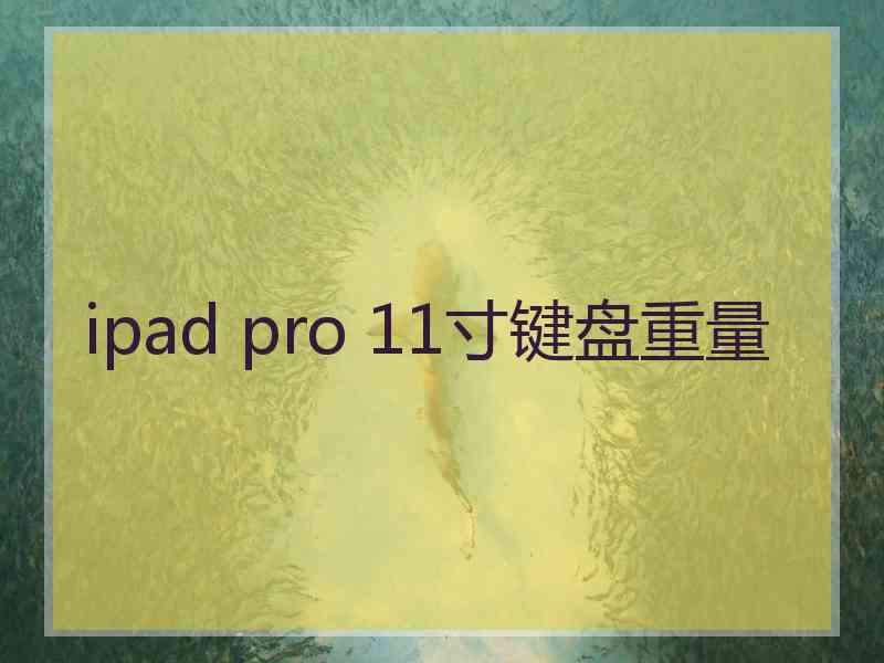 ipad pro 11寸键盘重量