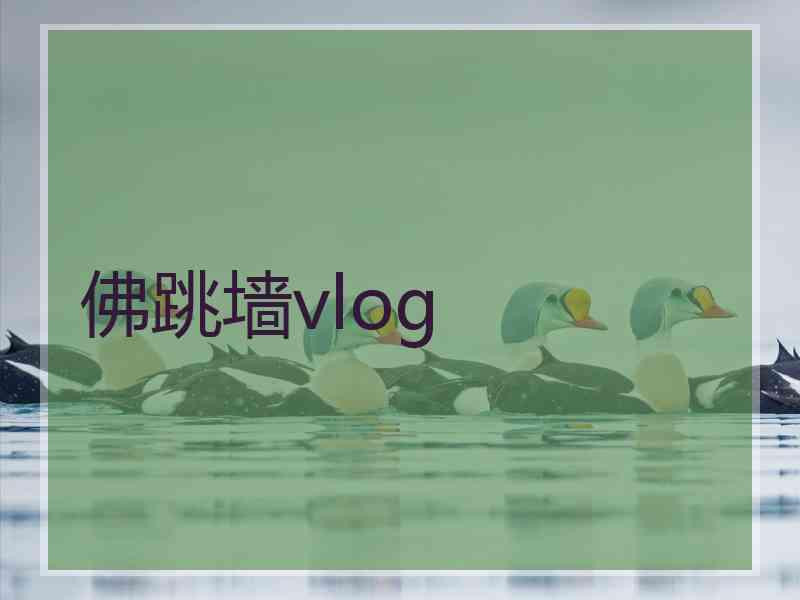 佛跳墙vlog