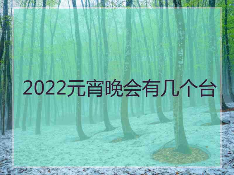 2022元宵晚会有几个台