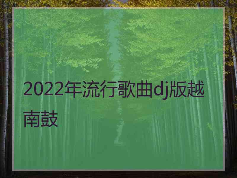 2022年流行歌曲dj版越南鼓