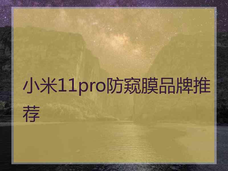 小米11pro防窥膜品牌推荐