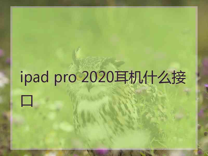 ipad pro 2020耳机什么接口