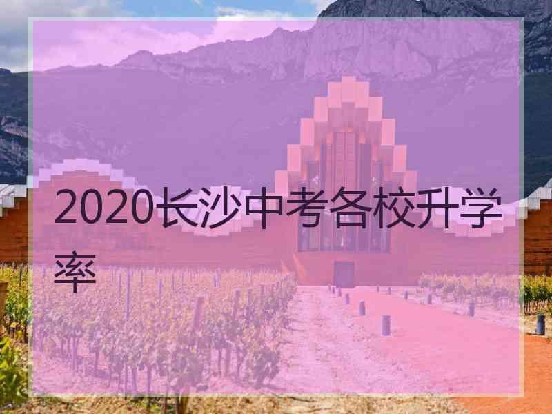 2020长沙中考各校升学率