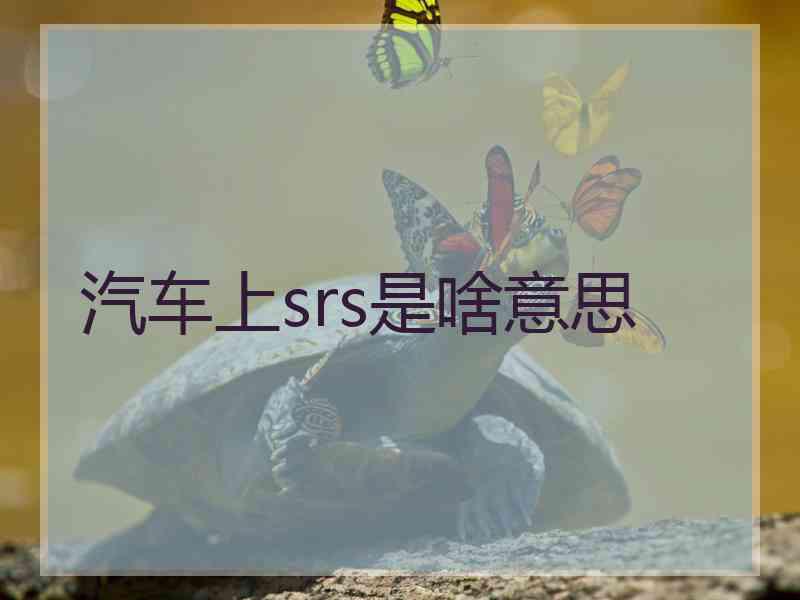 汽车上srs是啥意思