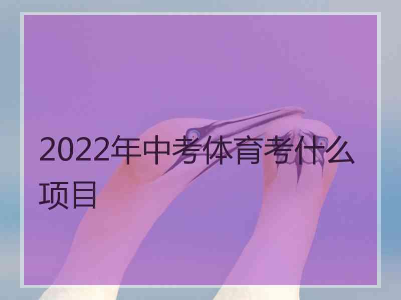 2022年中考体育考什么项目