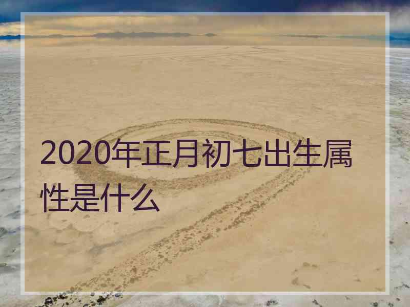 2020年正月初七出生属性是什么