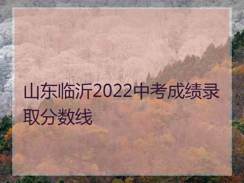 山东临沂2022中考成绩录取分数线