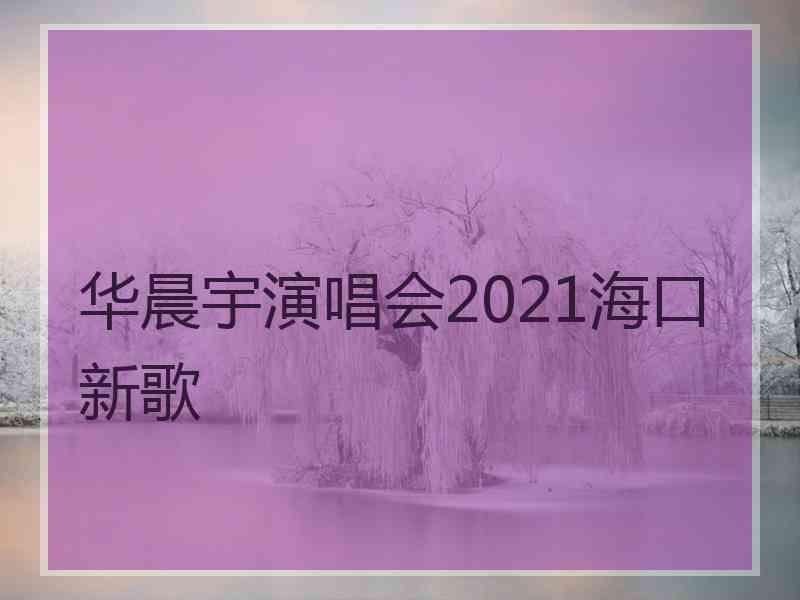 华晨宇演唱会2021海口新歌