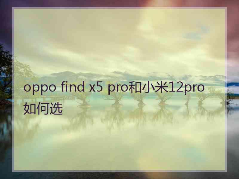 oppo find x5 pro和小米12pro如何选