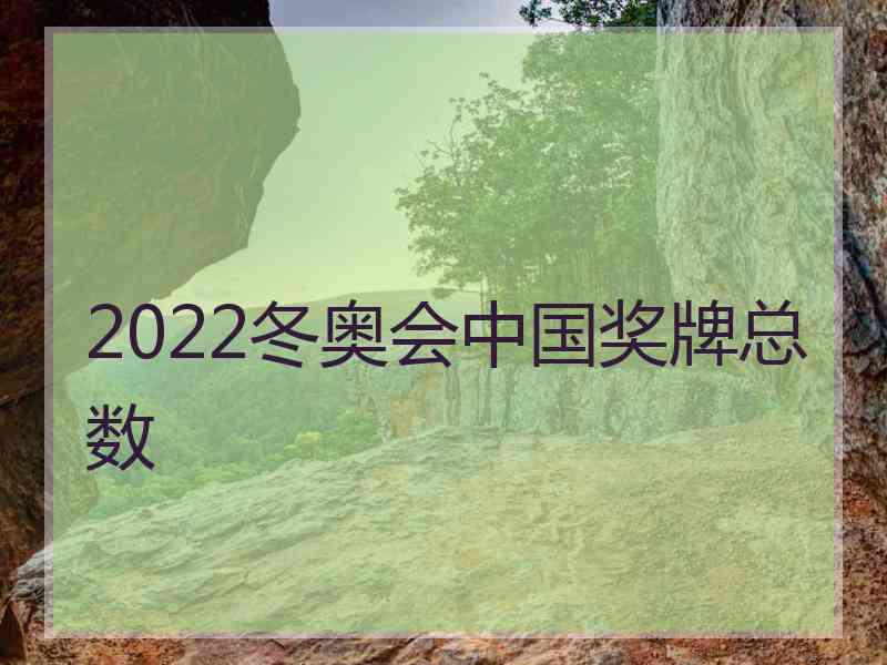 2022冬奥会中国奖牌总数