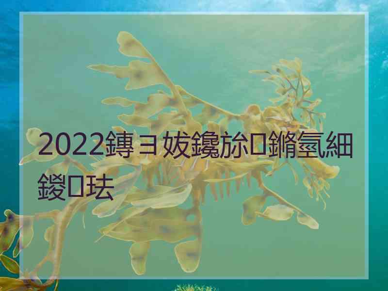 2022鏄ヨ妭鑱旀鏅氫細鍐珐