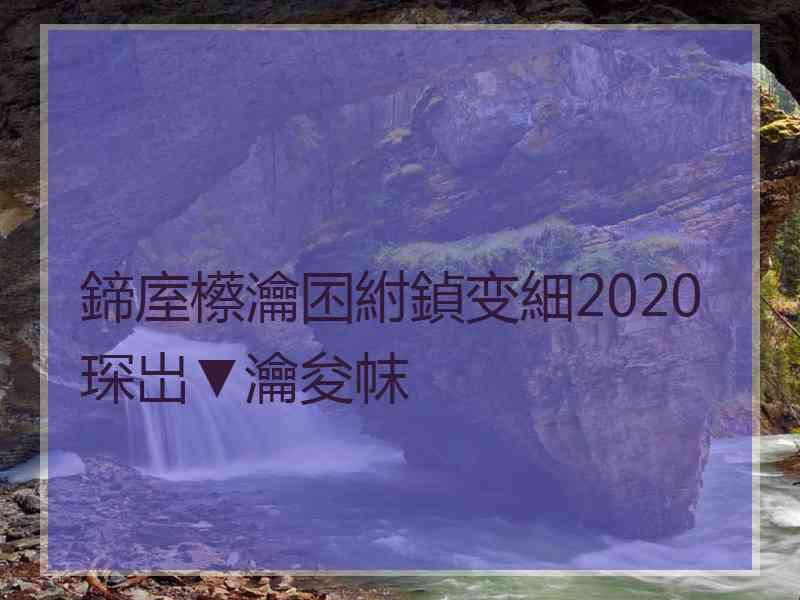 鍗庢櫒瀹囨紨鍞变細2020琛岀▼瀹夋帓