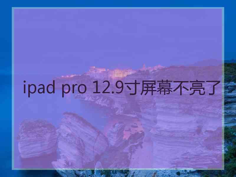 ipad pro 12.9寸屏幕不亮了