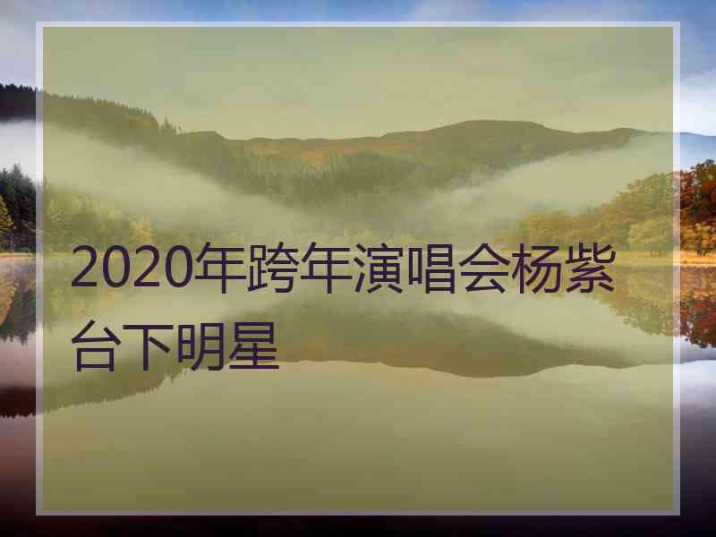 2020年跨年演唱会杨紫台下明星