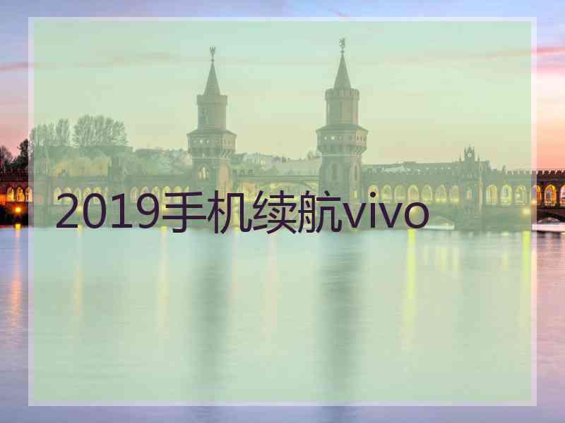 2019手机续航vivo