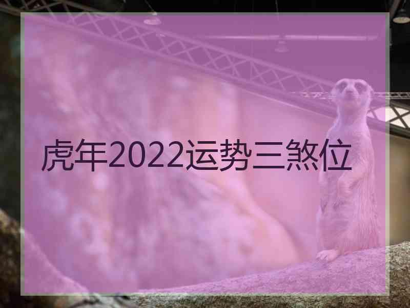 虎年2022运势三煞位