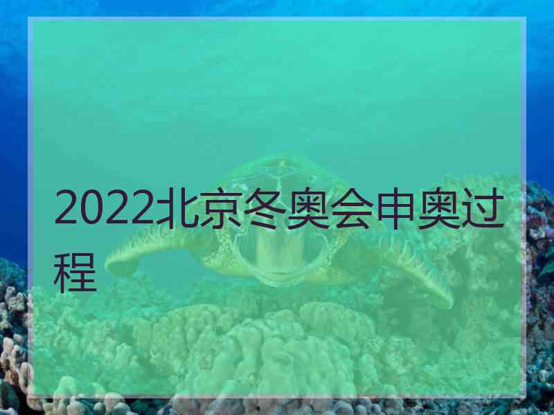 2022北京冬奥会申奥过程