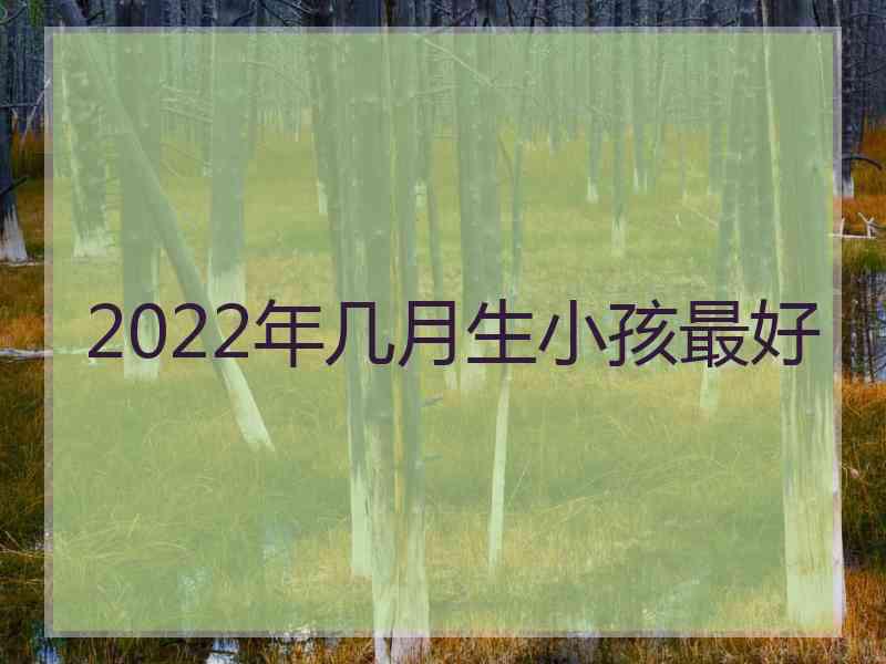 2022年几月生小孩最好