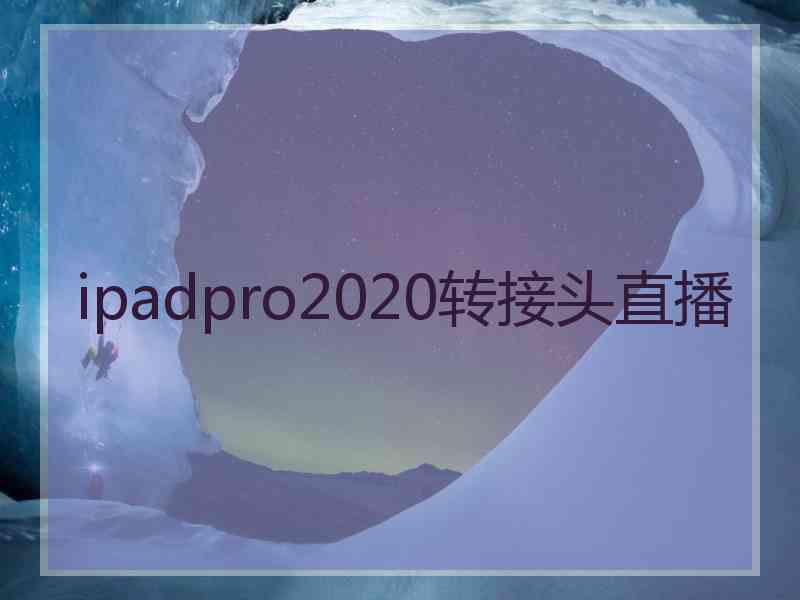 ipadpro2020转接头直播