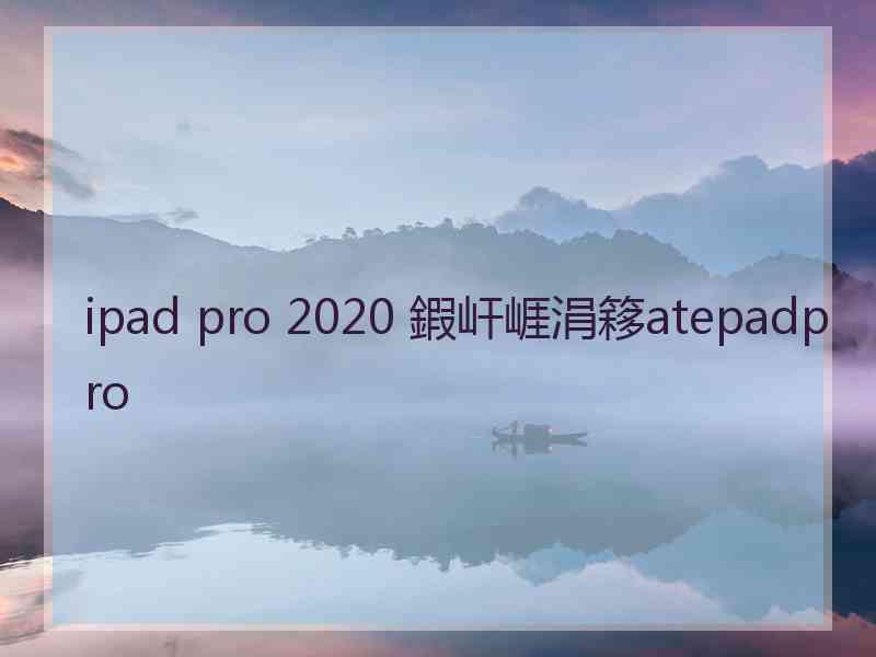 ipad pro 2020 鍜屽崕涓簃atepadpro