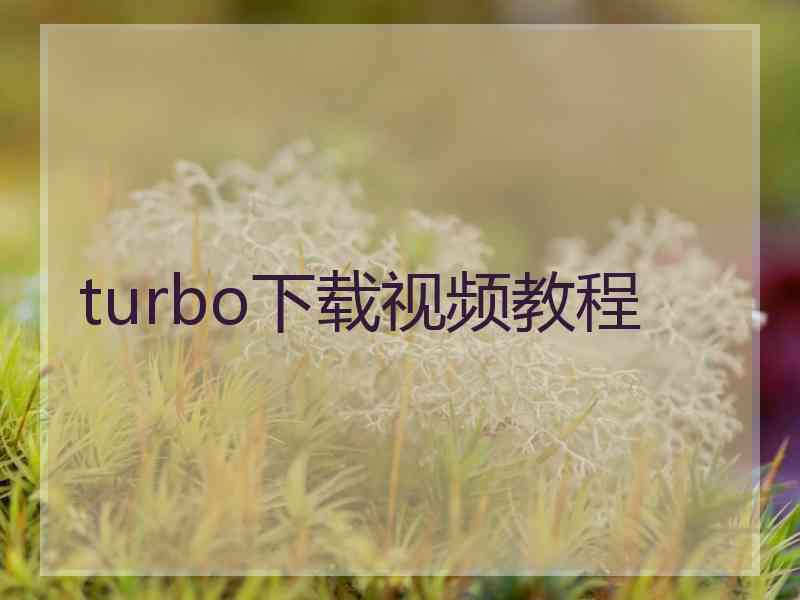 turbo下载视频教程