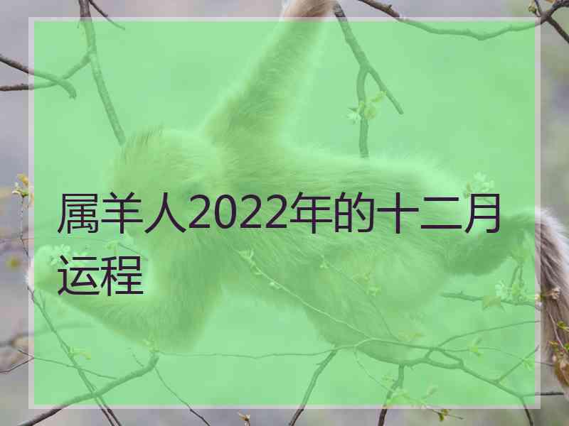 属羊人2022年的十二月运程