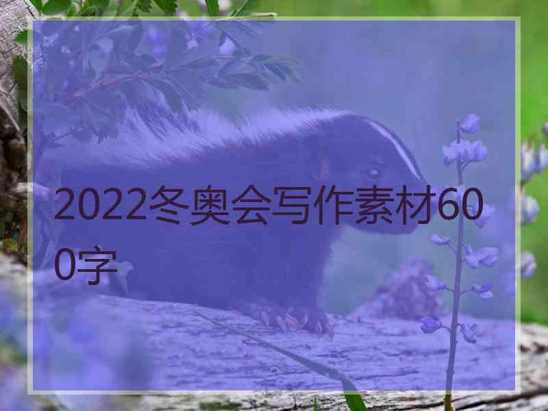 2022冬奥会写作素材600字