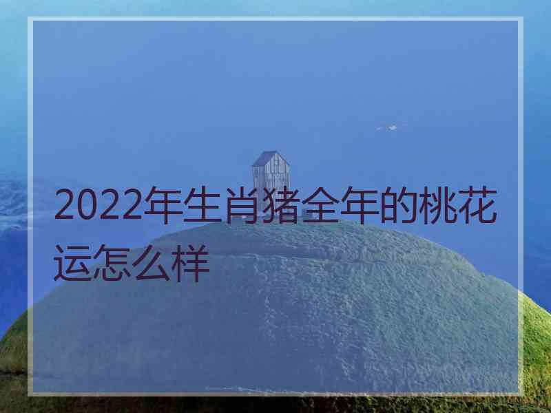 2022年生肖猪全年的桃花运怎么样