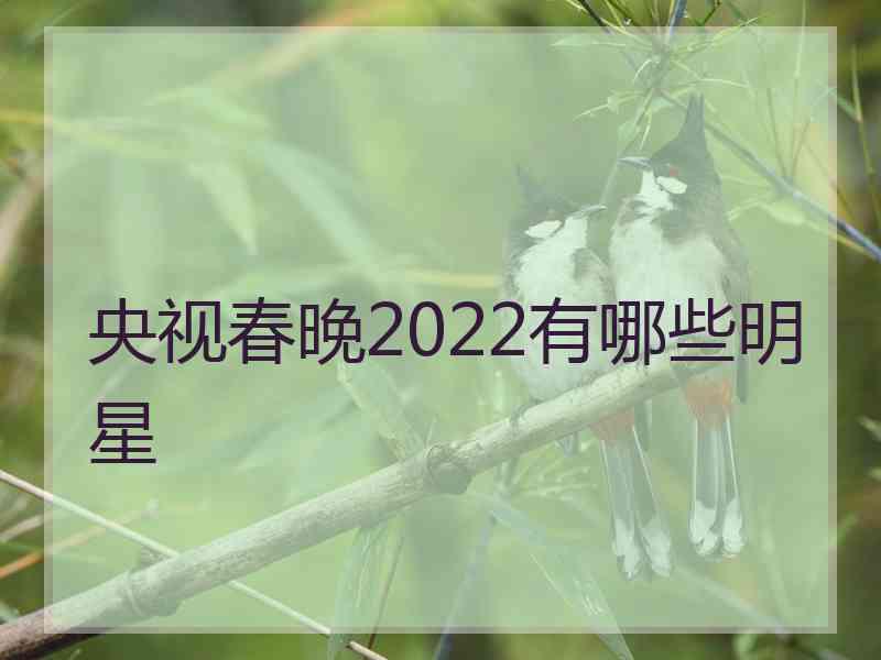 央视春晚2022有哪些明星