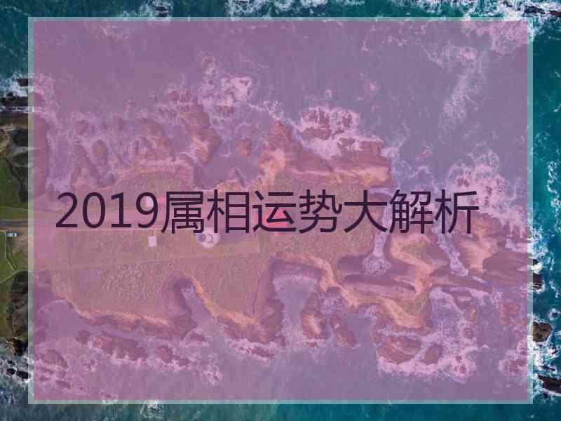 2019属相运势大解析