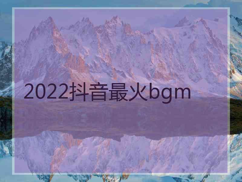 2022抖音最火bgm