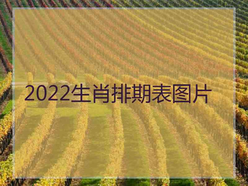 2022生肖排期表图片