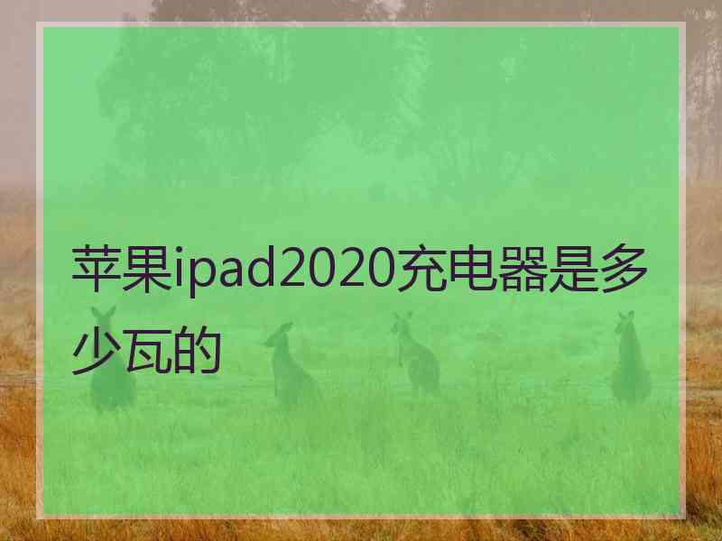 苹果ipad2020充电器是多少瓦的