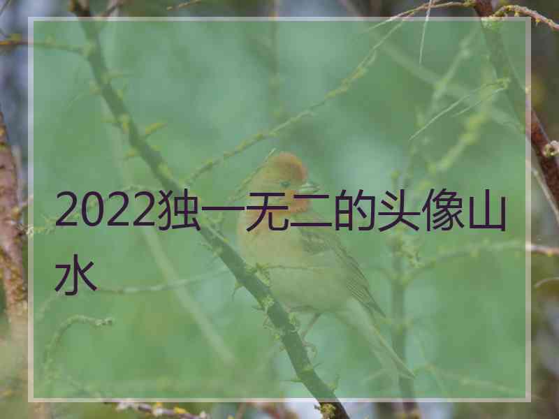 2022独一无二的头像山水