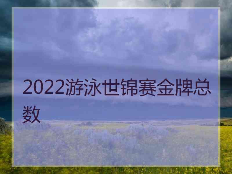 2022游泳世锦赛金牌总数