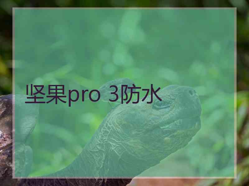 坚果pro 3防水